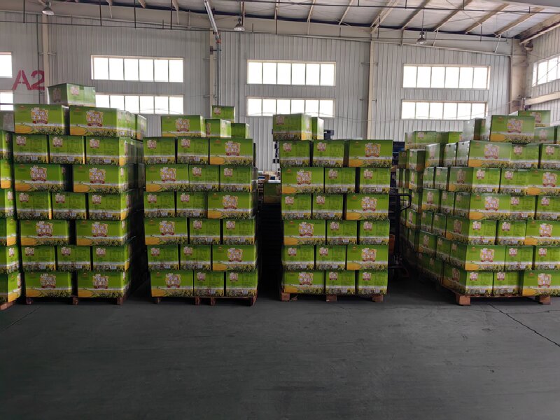 泰州到文成貨運(yùn)公司