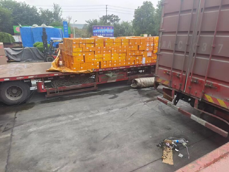 溫州到新鄉(xiāng)貨運(yùn)公司